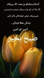 Adeeba Ali Sial